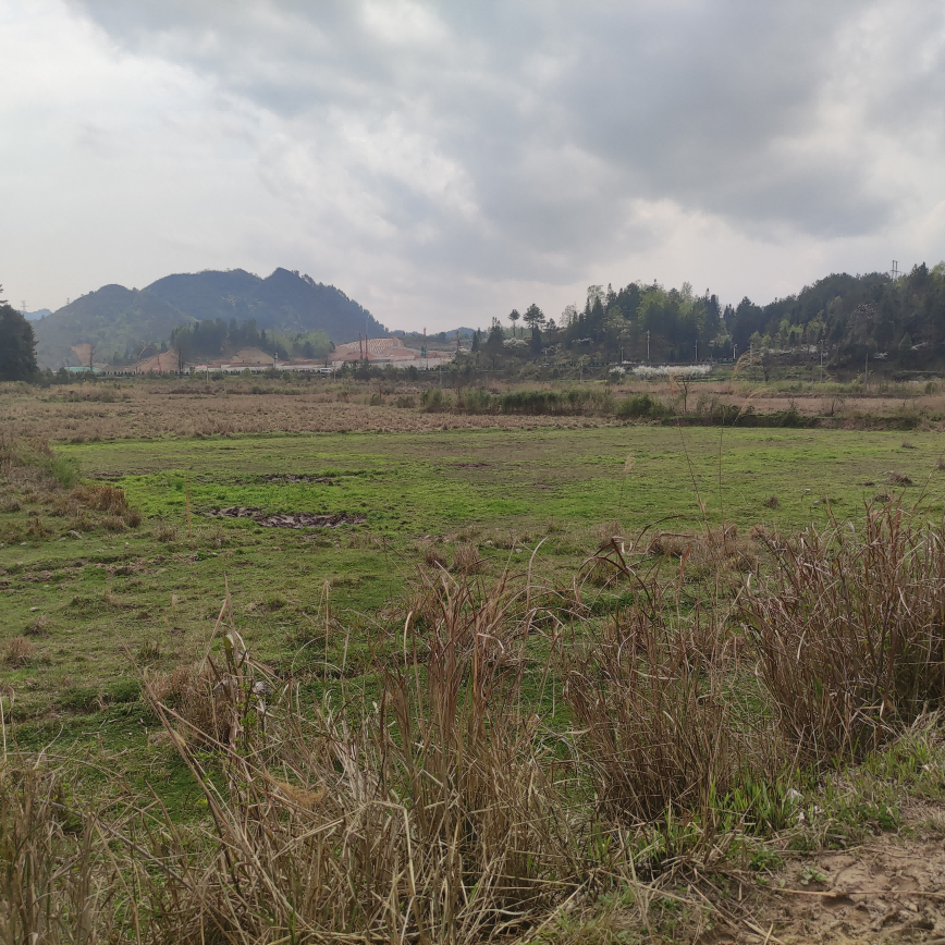 1647421696316784.png 圖片關鍵詞