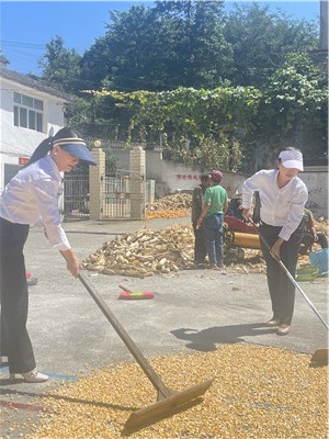 1693812682631337.jpg 10.jpg