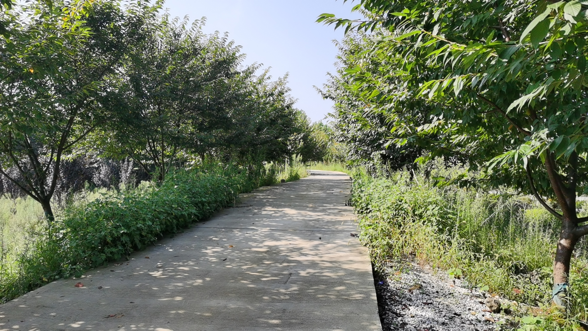 1698129270132660.png 圖片17.png