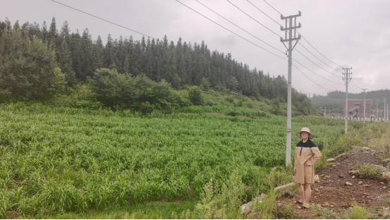 1698719462340397.png image.png