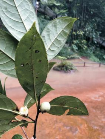 1719366274663275.png image.png