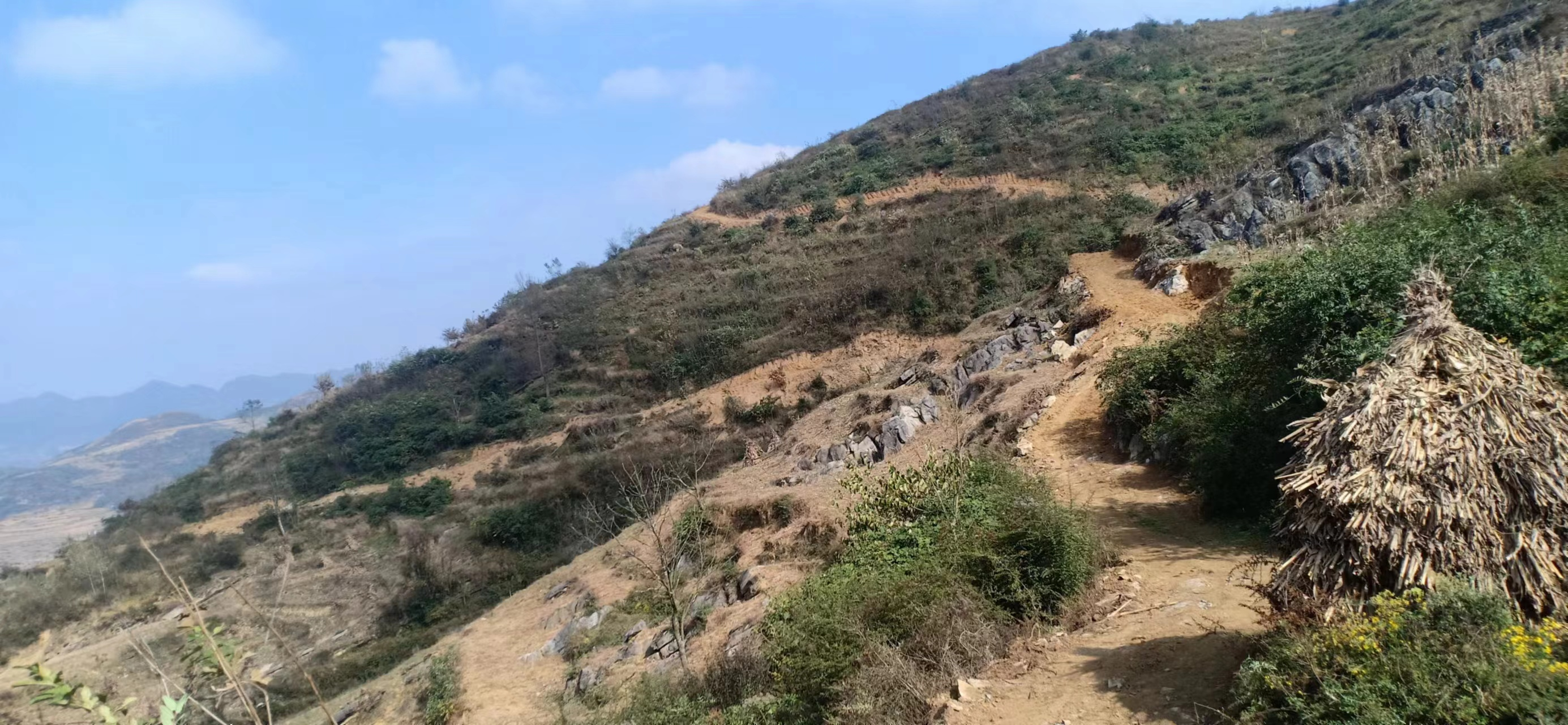 1719819473731582.png 圖片關(guān)鍵詞