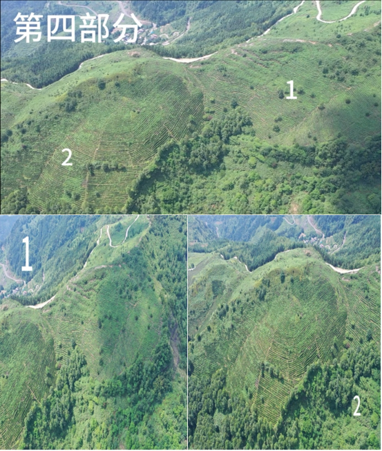 1753780816601924.png image.png