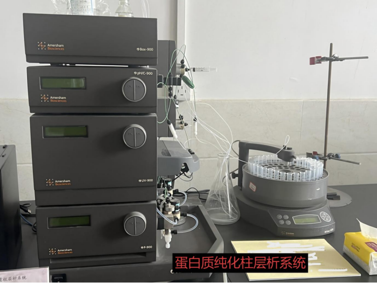 1762756868107884.png image.png