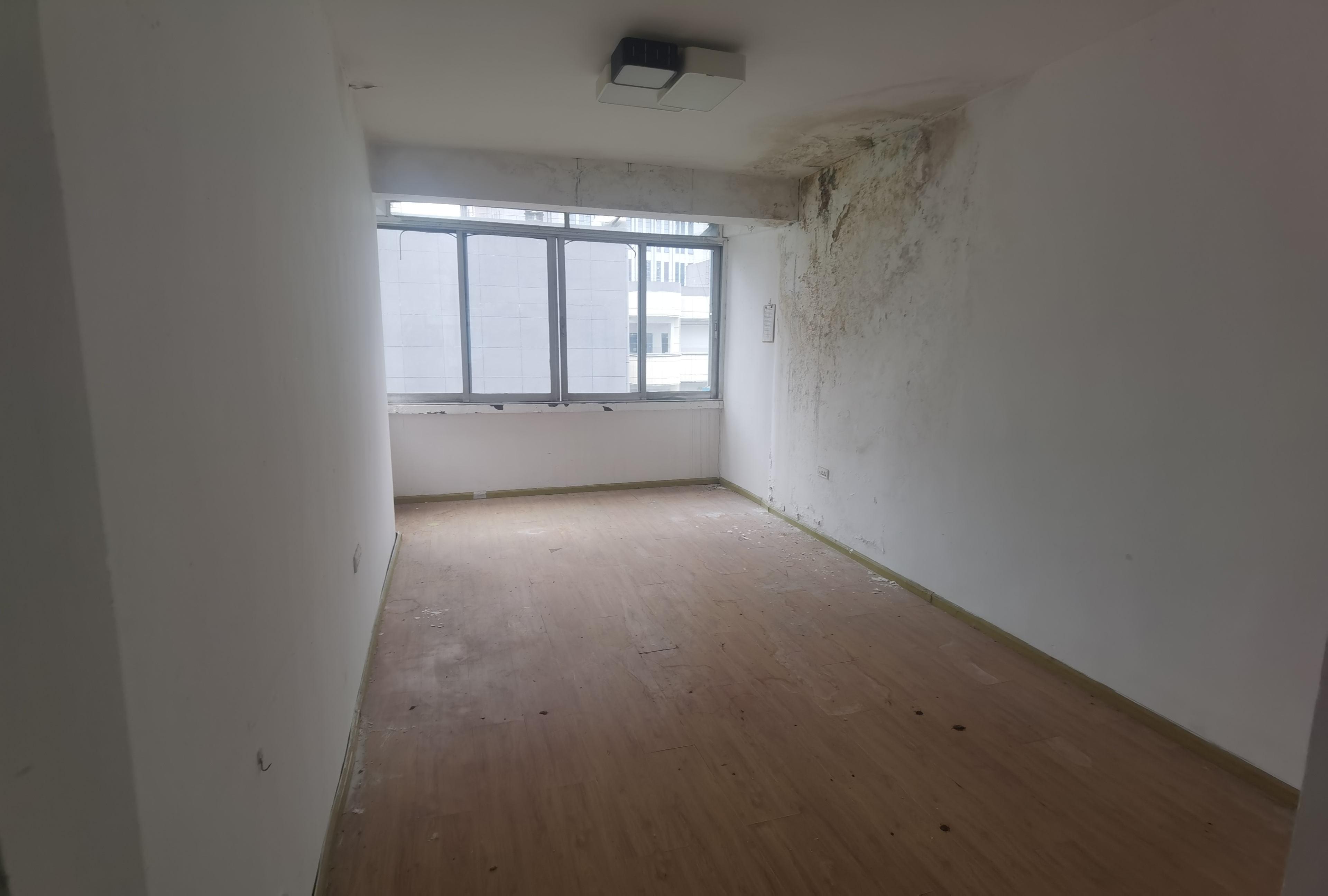 1764842257484813.jpg IMG_20250724_150950.jpg