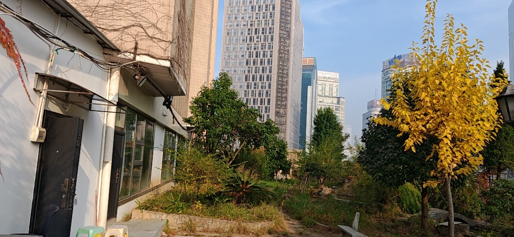 1765873023443729.png 1765873023443729.png