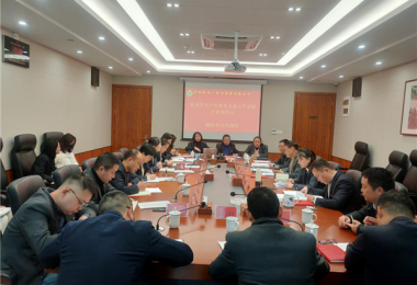 貴州陽光產(chǎn)權召開黨委（擴大）會分析研判2021年全面從嚴治黨工作