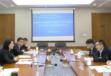 經(jīng)驗(yàn)交流  共促發(fā)展——西南聯(lián)合產(chǎn)權(quán)交易所、西藏電子商務(wù)有限公司 與貴州陽(yáng)光產(chǎn)權(quán)交易所交流座談
