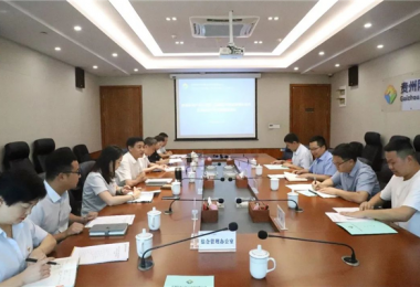 西南聯(lián)合產(chǎn)權(quán)交易所、西藏電子商務(wù)有限公司與貴州陽光產(chǎn)權(quán)交易所交流座談會